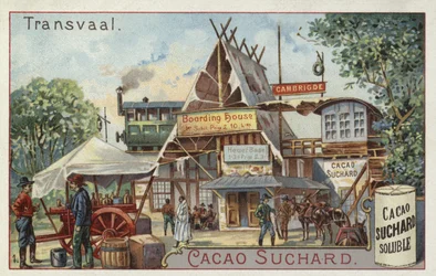 Transvaal
